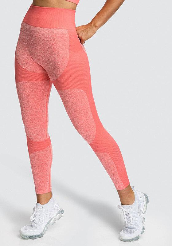 High Waist Legging