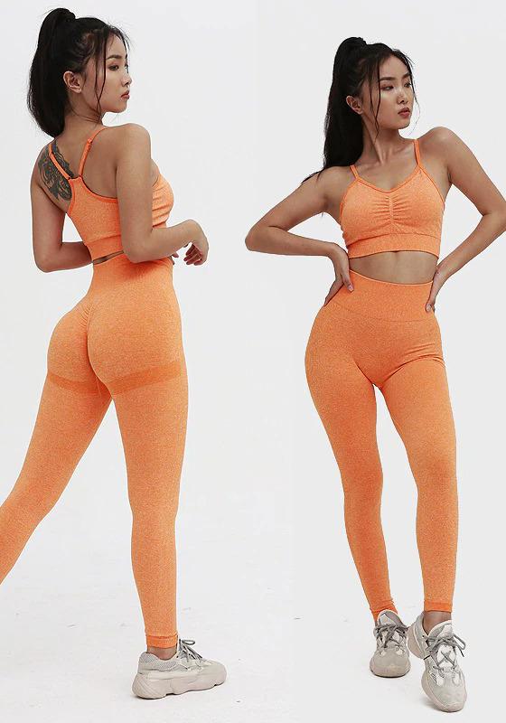 Clarus Seamless Yoga Set