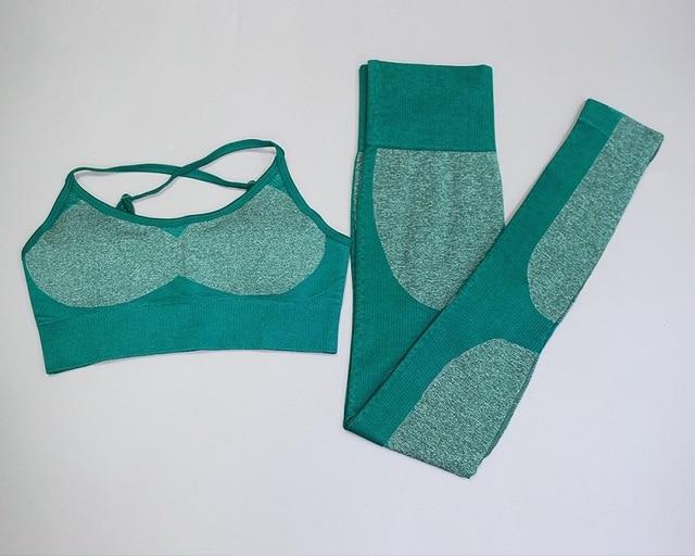 Diva Seamless Yoga Set